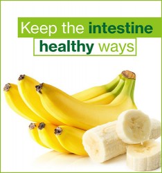 Keep the intestine healthy ways